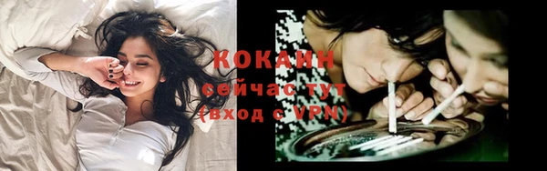 прущие крисы Абаза