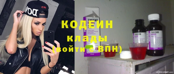 прущие крисы Абаза