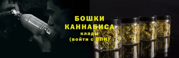 прущие крисы Абаза