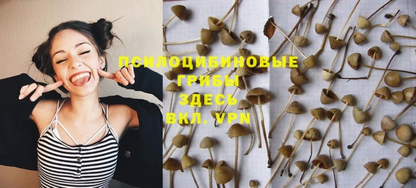 мет Абинск